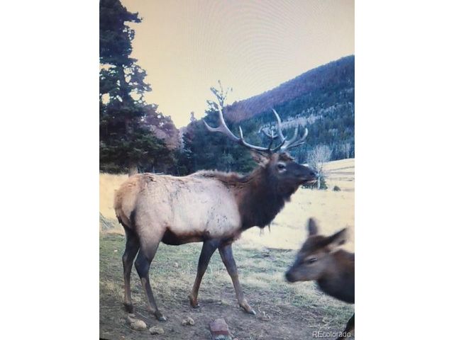 2137 Riccardo Ln, Fort Garland, CO 81133