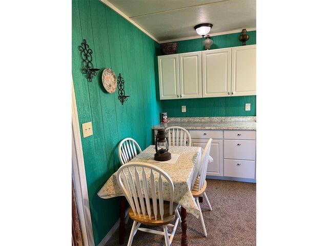 2137 Riccardo Ln, Fort Garland, CO 81133