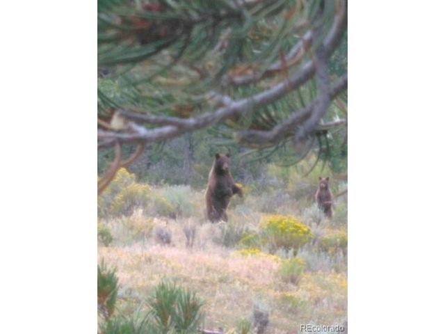 2137 Riccardo Ln, Fort Garland, CO 81133