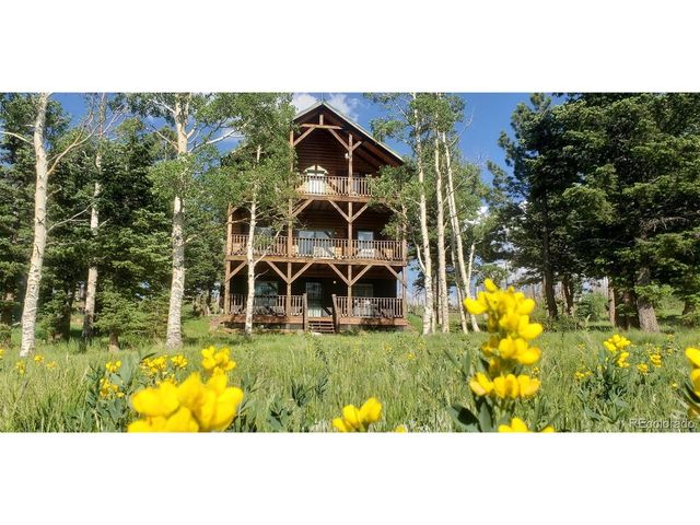 2137 Riccardo Ln, Fort Garland, CO 81133