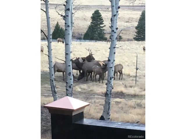 2137 Riccardo Ln, Fort Garland, CO 81133