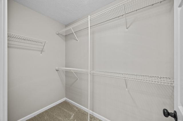 3785 White Pine Drive, Lexington, KY 40514