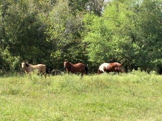 38954 Donigan Road, Brookshire, TX 77423