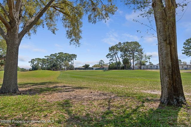 7482 Dinsmore Street, Brooksville, FL 34613
