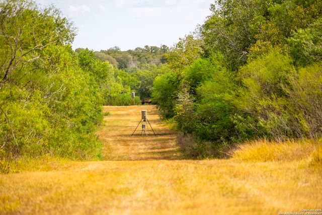 000 County Road 332, Runge, TX 78151