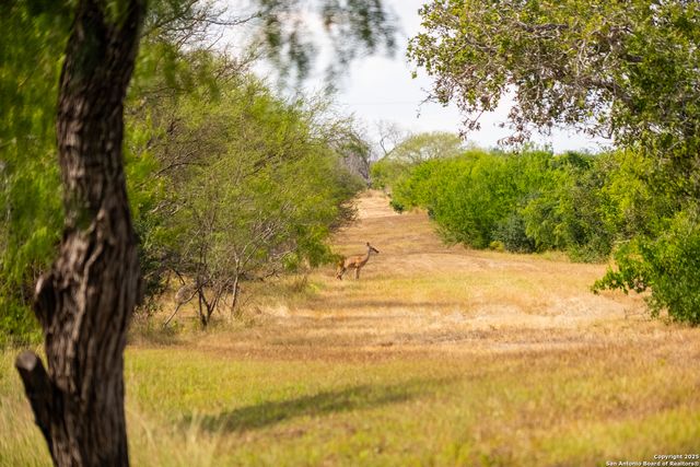 000 County Road 332, Runge, TX 78151