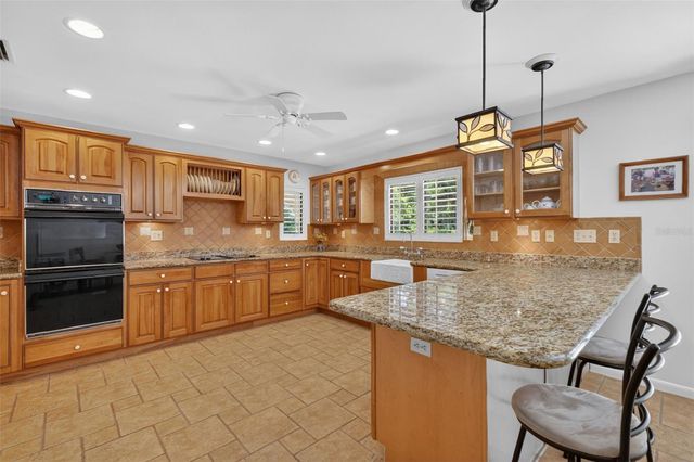 1109 ELYSIUM BOULEVARD, Mount Dora, FL 32757
