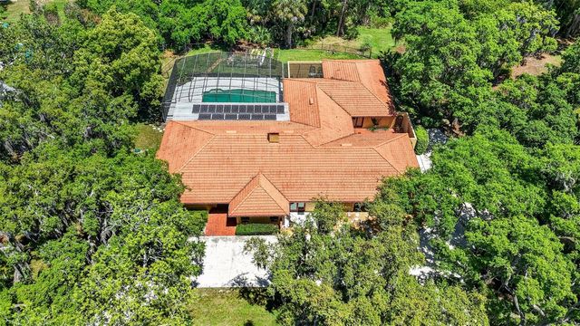 1109 ELYSIUM BOULEVARD, Mount Dora, FL 32757
