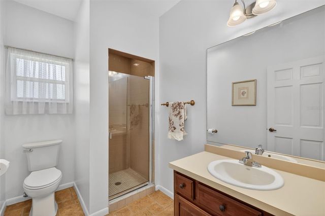 1109 ELYSIUM BOULEVARD, Mount Dora, FL 32757