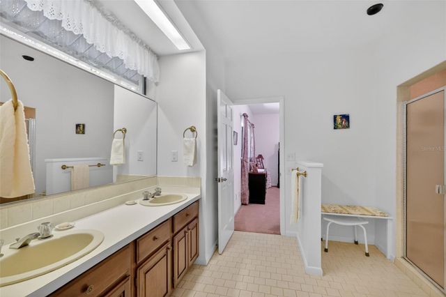 1109 ELYSIUM BOULEVARD, Mount Dora, FL 32757