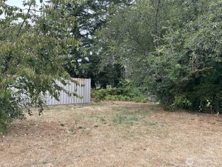 0 Pioneer Avenue, Castle Rock, WA 98611