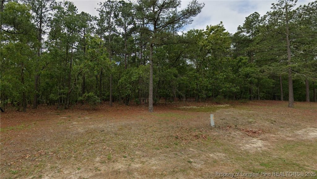 30 Peach Orchard Road, Wagram, NC 28396