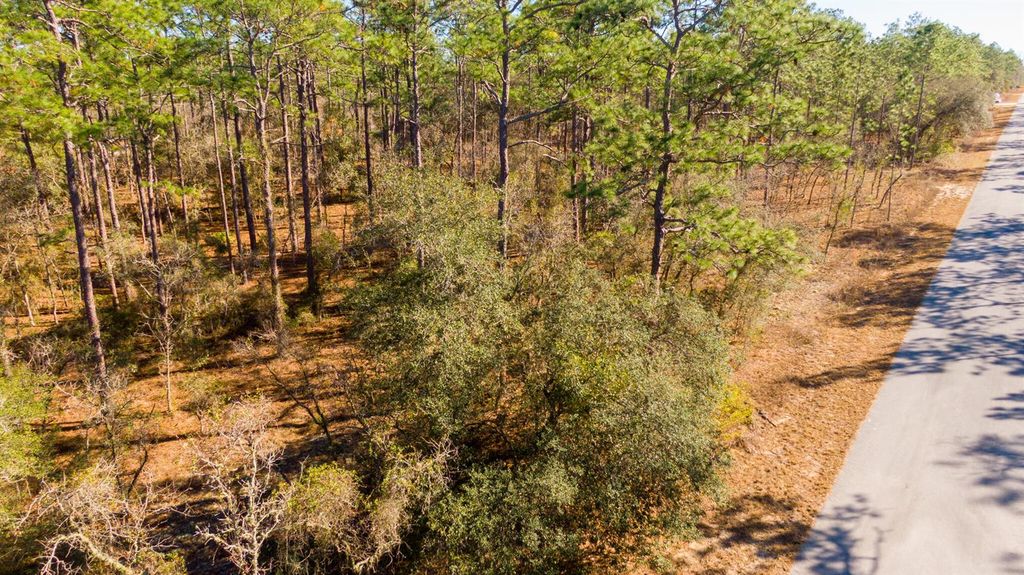 0000 SW Commodore Road, Dunnellon, FL 34431