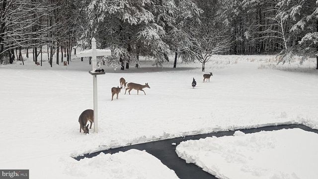 887 WEIRES AVE, Lavale, MD 21502