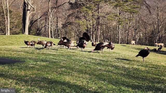 887 WEIRES AVE, Lavale, MD 21502