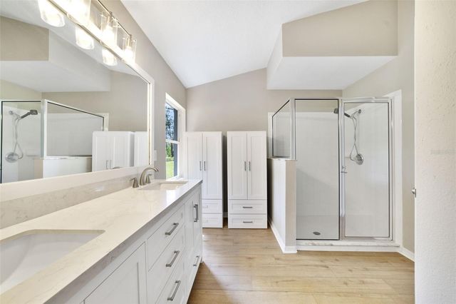 13850 RIVERPATH GROVE DRIVE, Orlando, FL 32826