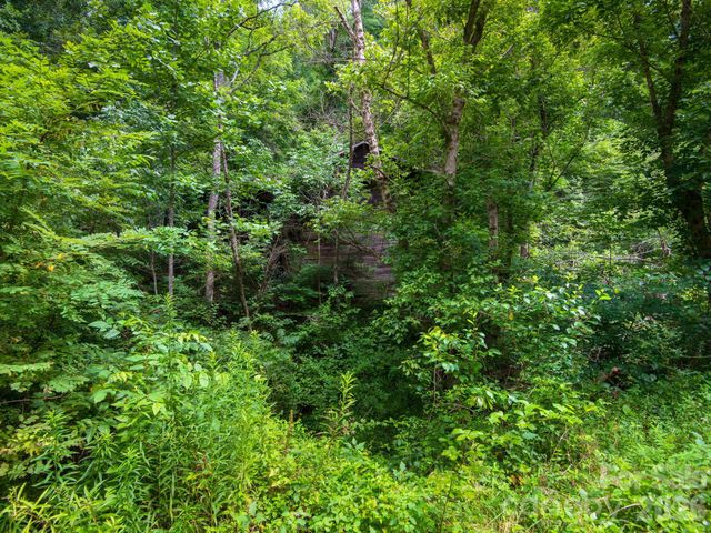 99999 Baileys Branch Road, Marshall, NC 28753