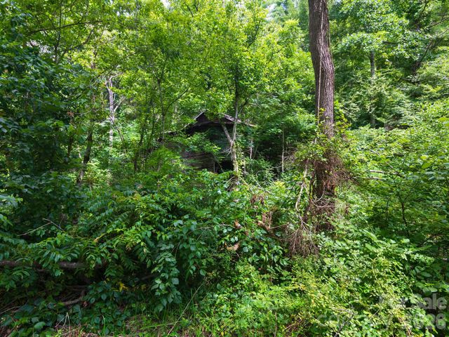 99999 Baileys Branch Road, Marshall, NC 28753