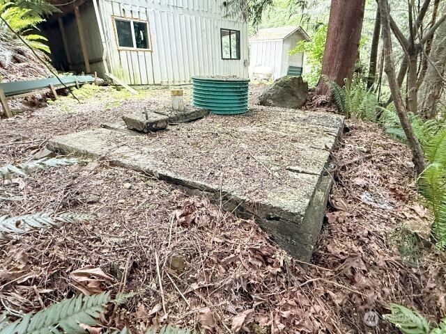 110 Trailwood Drive, Brinnon, WA 98320