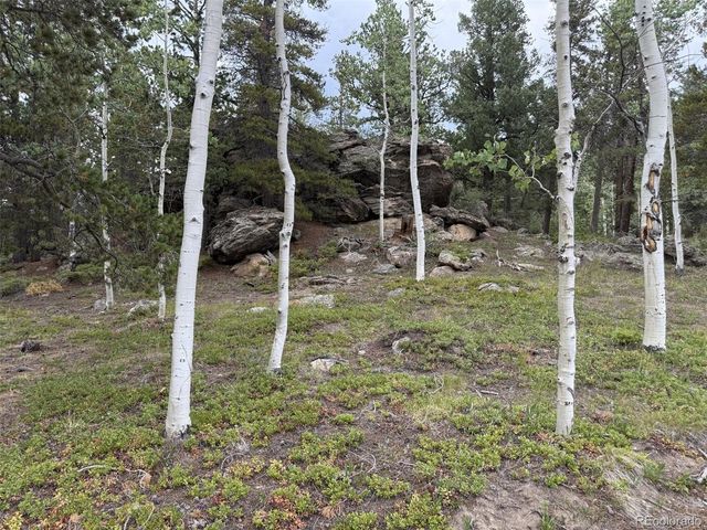1 Hawk Way, Black Hawk, CO 80422