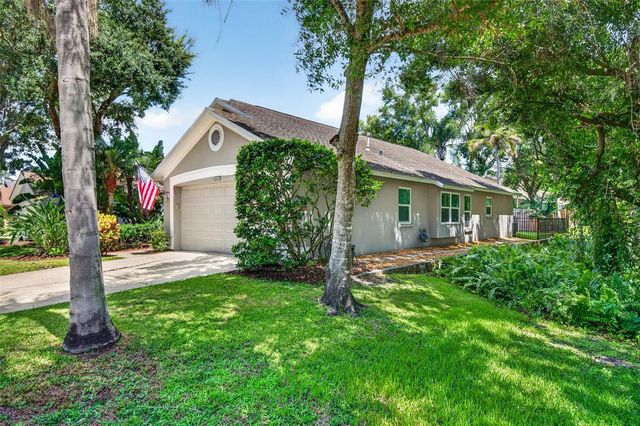 12321 GLENFIELD AVENUE, Tampa, FL 33626