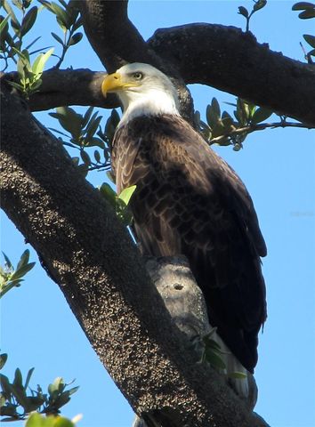 101 N MARION COURT 222, Punta Gorda, FL 33950