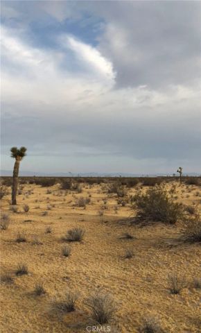 0 Hills, Adelanto, CA 92301