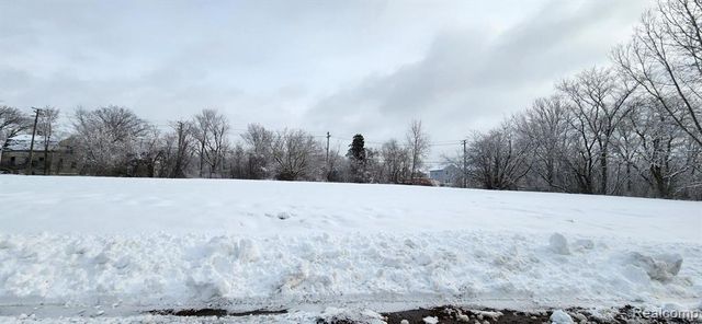 3932 18th Street, Detroit, MI 48208