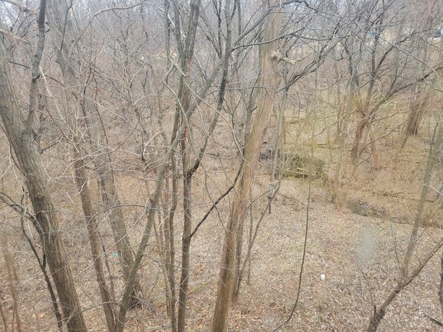 408 E 4th Street, Spring Valley, IL 61362