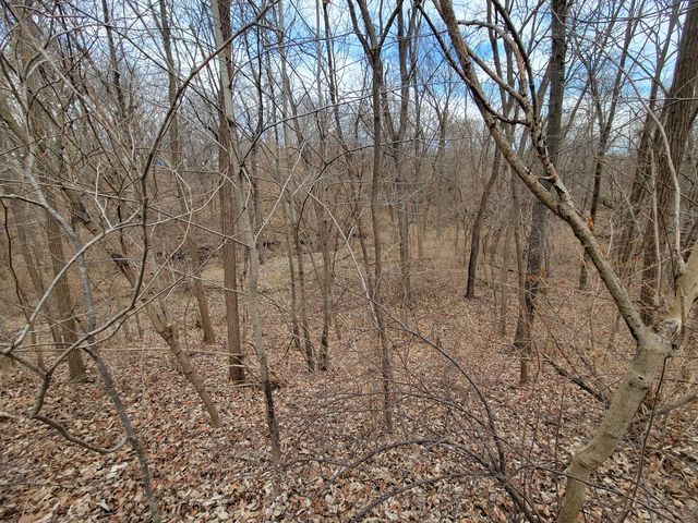 408 E 4th Street, Spring Valley, IL 61362