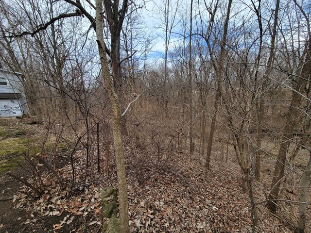 408 E 4th Street, Spring Valley, IL 61362