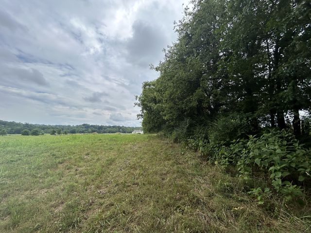 7019 Belcastle Ln, College Grove, TN 37046