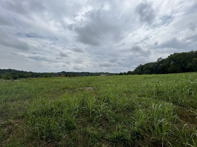 7019 Belcastle Ln, College Grove, TN 37046