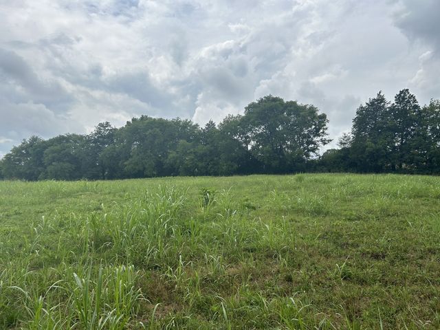 7019 Belcastle Ln, College Grove, TN 37046