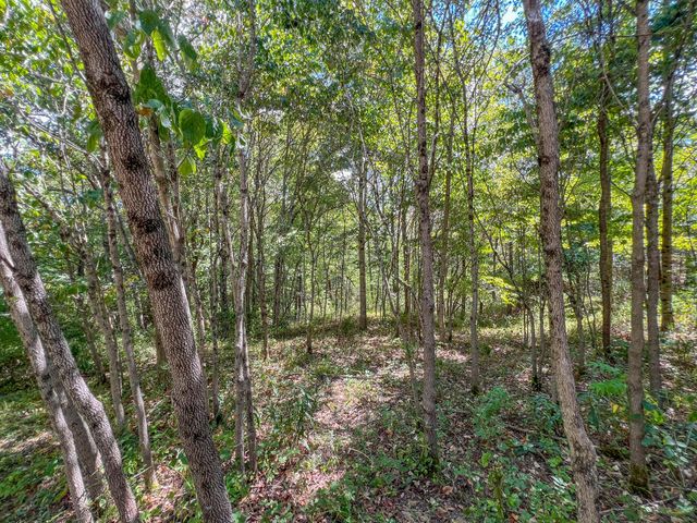 64310 State Route 56, Creola, OH 45622