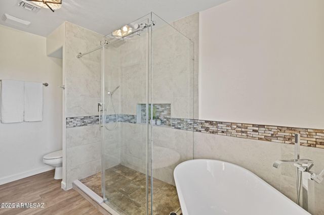 1045 E NUESTRO Street, Oracle, AZ 85623