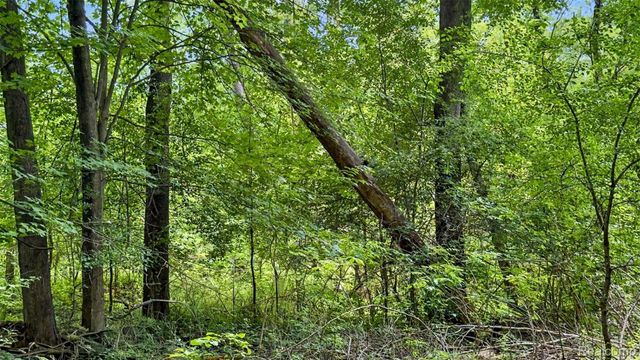 Vacant Lot- Judson Rd-Judson Park Sub, Rochester Hills, MI 48306