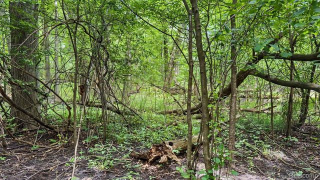Vacant Lot- Judson Rd-Judson Park Sub, Rochester Hills, MI 48306