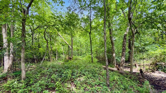 Vacant Lot- Judson Rd-Judson Park Sub, Rochester Hills, MI 48306