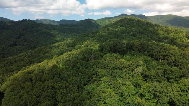 8 Skyview Drive, Hayesville, NC 28904