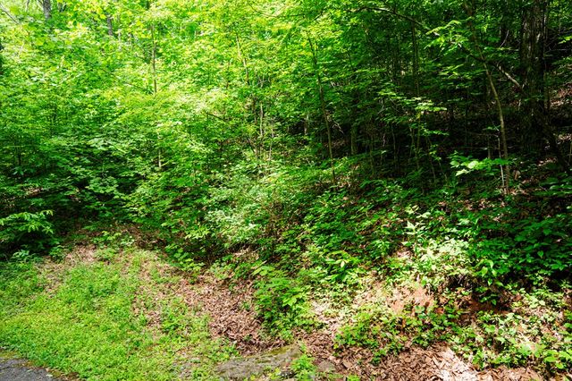 8 Skyview Drive, Hayesville, NC 28904