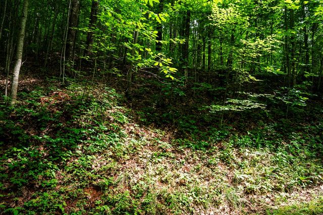 8 Skyview Drive, Hayesville, NC 28904