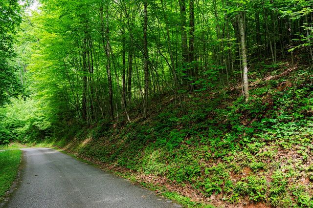 8 Skyview Drive, Hayesville, NC 28904