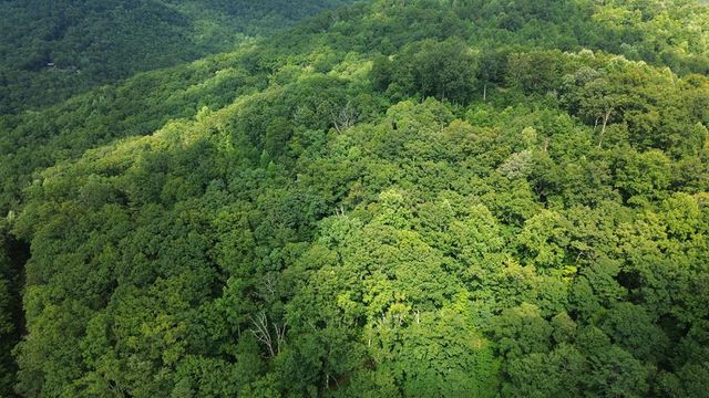 8 Skyview Drive, Hayesville, NC 28904
