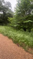 000 Cartwright Drive, Eustace, TX 75124