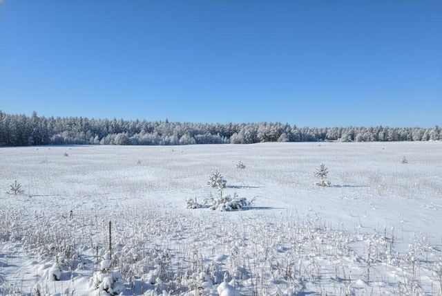 g Walton Road, Paradise Twp, MI 49649