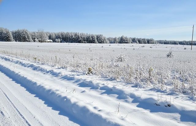 g Walton Road, Paradise Twp, MI 49649