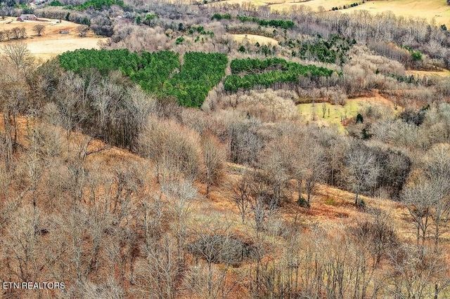 99 Judkins Lane, Hickman, TN 38567