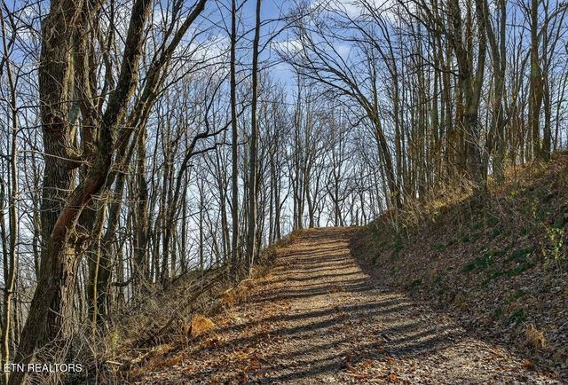 99 Judkins Lane, Hickman, TN 38567