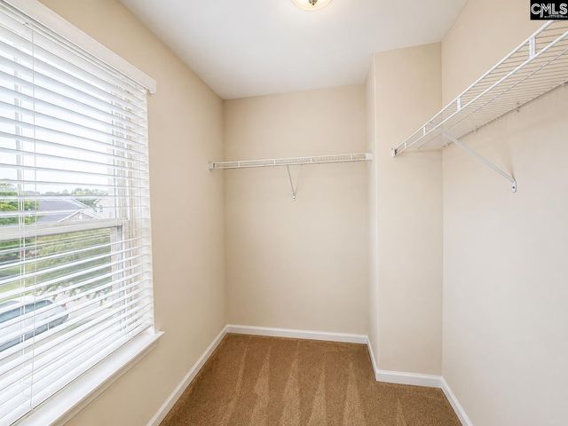 815 Burnview Lane, Chapin, SC 29036